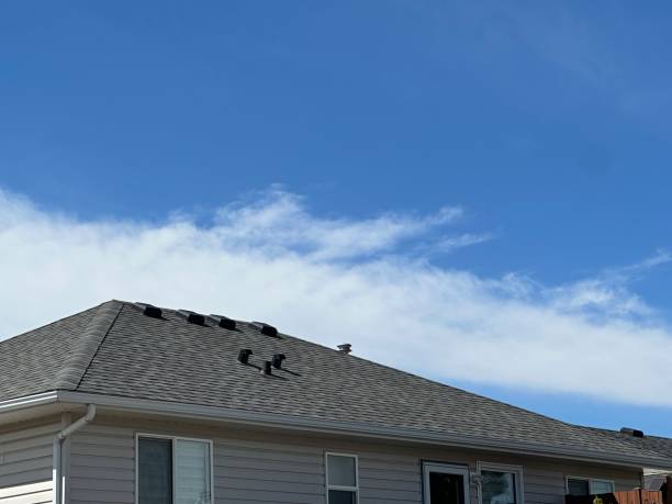 Best Roof Coating and Sealing  in Grayson, CA